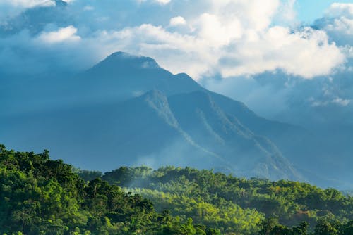 Immagine gratuita di alberi, ambiente, montagna