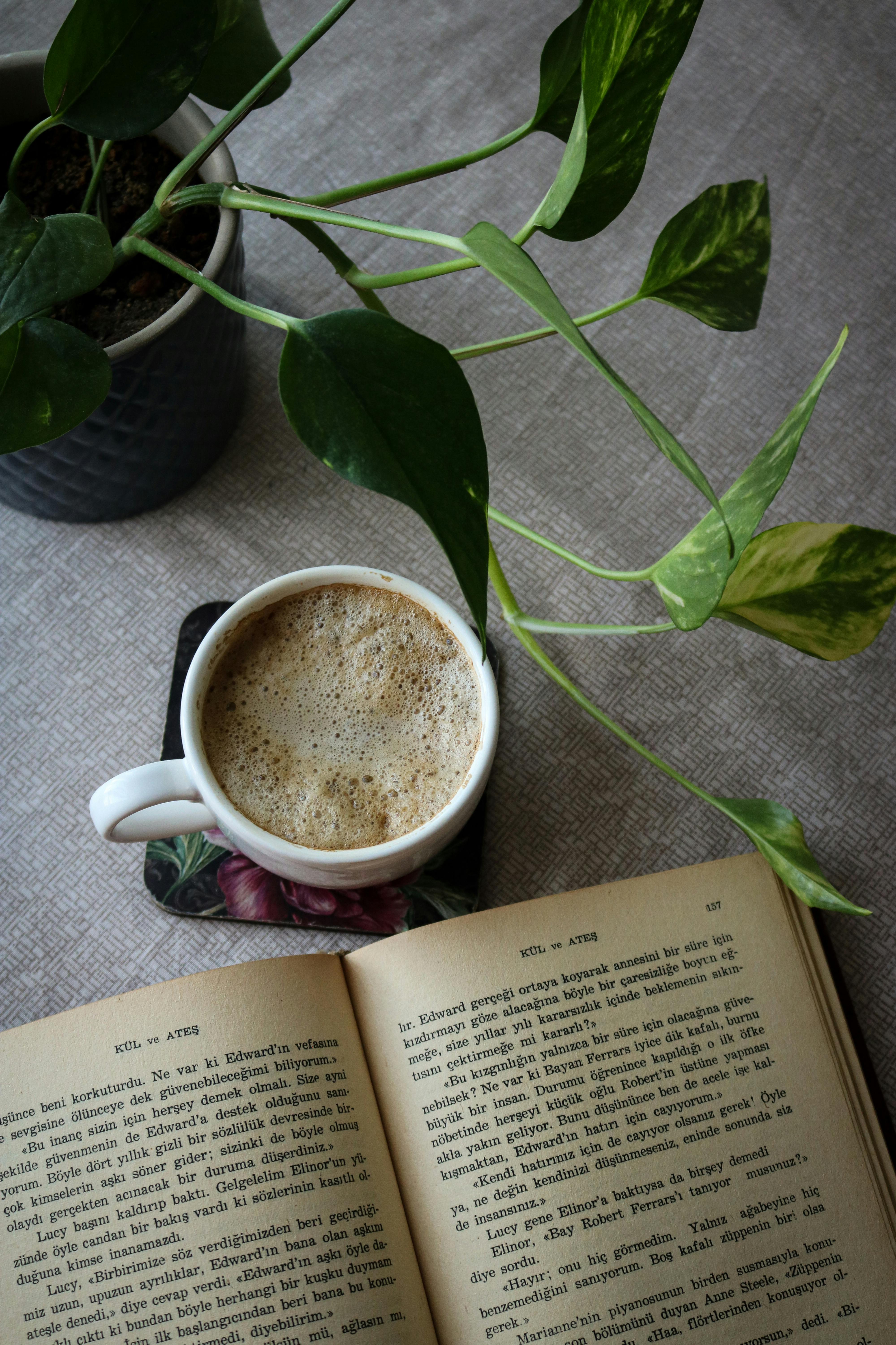 Cup of coffee next to an open book and indoor plant on a table, perfect for cozy reading moments.