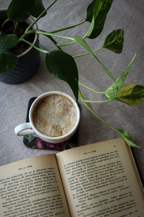 Free Cup of coffee next to an open book and indoor plant on a table, perfect for cozy reading moments. Stock Photo