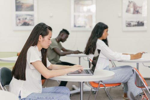 Free Students focused on learning in a contemporary university setting with laptops and notebooks. Stock Photo