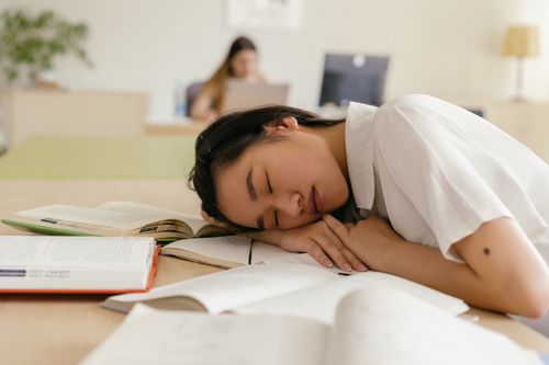 Free Exhausted student sleeping on a study desk covered with open books inside a quiet room. Stock Photo