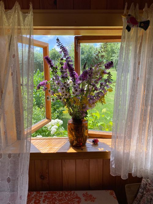 Free Colorful wildflowers in a vase by an open window, inviting warmth and summer vibes into the room. Stock Photo