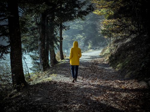 Free A woman in a yellow hoodie walks on a forest path beside a serene river, surrounded by trees. Stock Photo