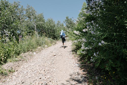 Back View of a Person Hiking Outdoors