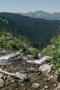 Free stock photo of eco living, hike, hiking