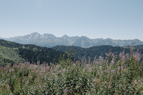 arazi, çevre, dağlar içeren Ücretsiz stok fotoğraf