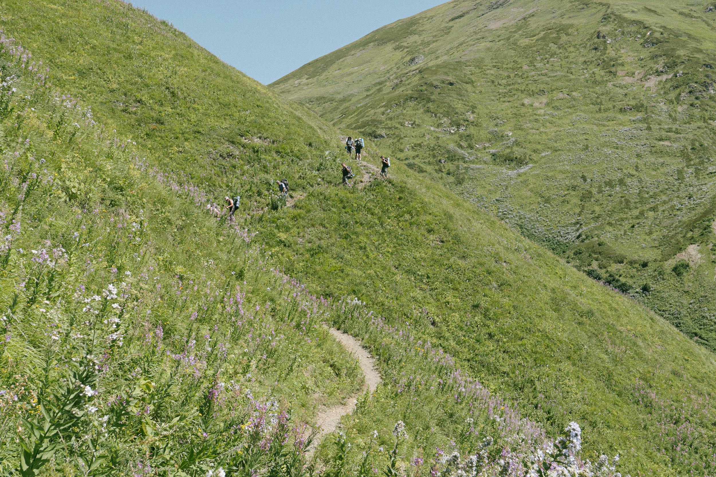 hikers on hillside