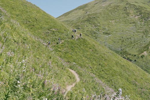 Kostenloses Stock Foto zu abenteuer, alpin, berg