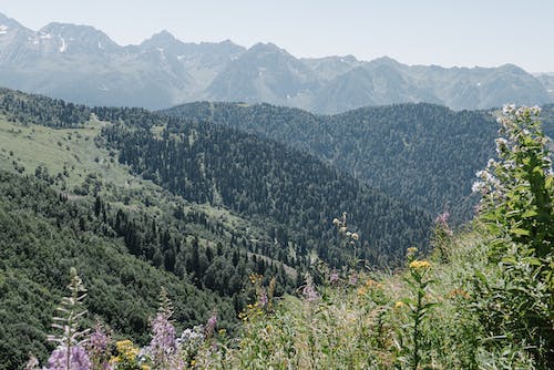 景觀, 綠色的山脈, 美景 的 免費圖庫相片