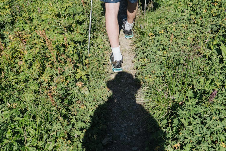 A Person Walking On Green Grass Field