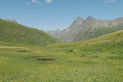 低角度拍攝, 天性, 山 的 免费素材图片