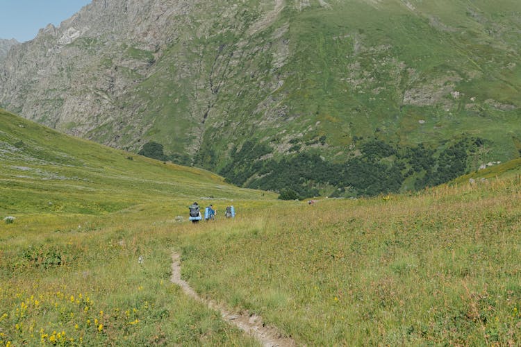 People Going Hiking