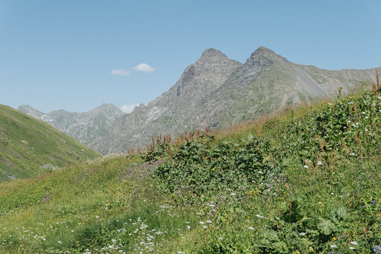 Landscape Of Mountains And Meadows Under Blue Sky 