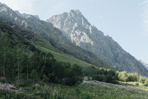 Free Breathtaking view of a lush valley and towering rocky mountains under a clear sky. Stock Photo