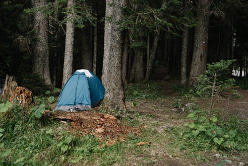 Wild Camping in Scotland