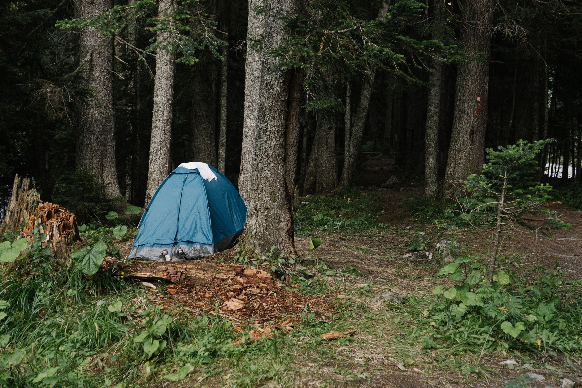 Leave No Trace: Preservando o Ambiente ao Acampar