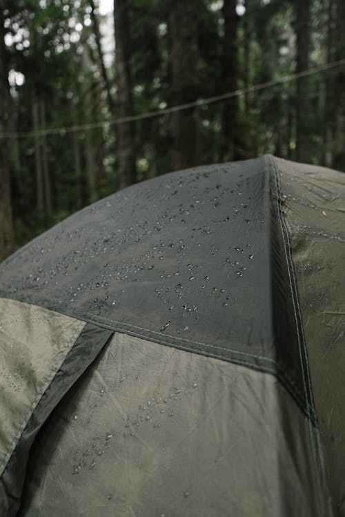 Wet Tent in Forest