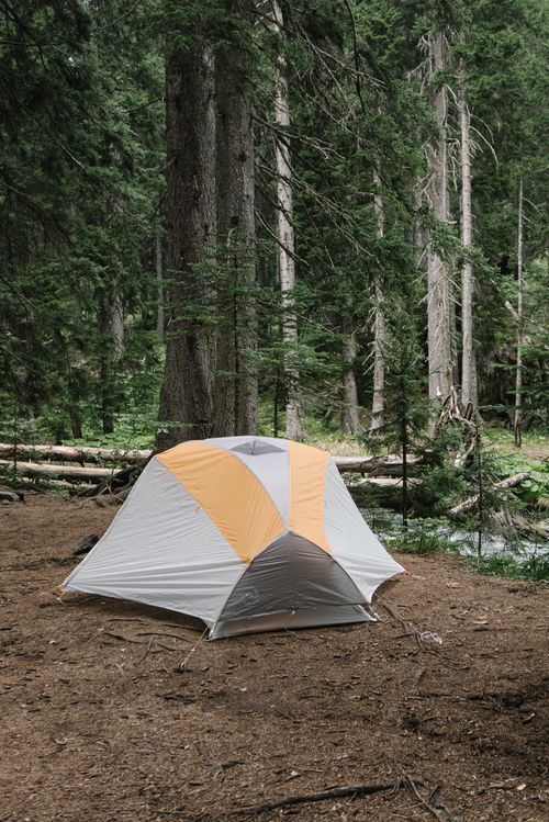 Free A vibrant tent set up in a secluded forest campsite, surrounded by lush pine trees. Stock Photo