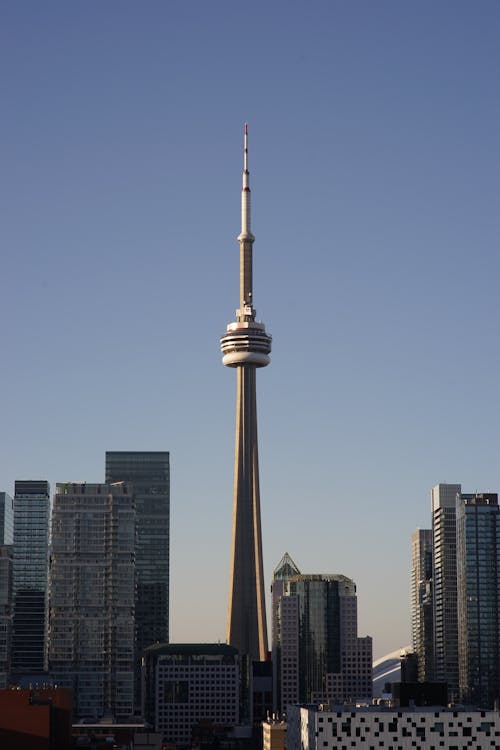 無料 CNタワー, カナダ, シティの無料の写真素材 写真素材
