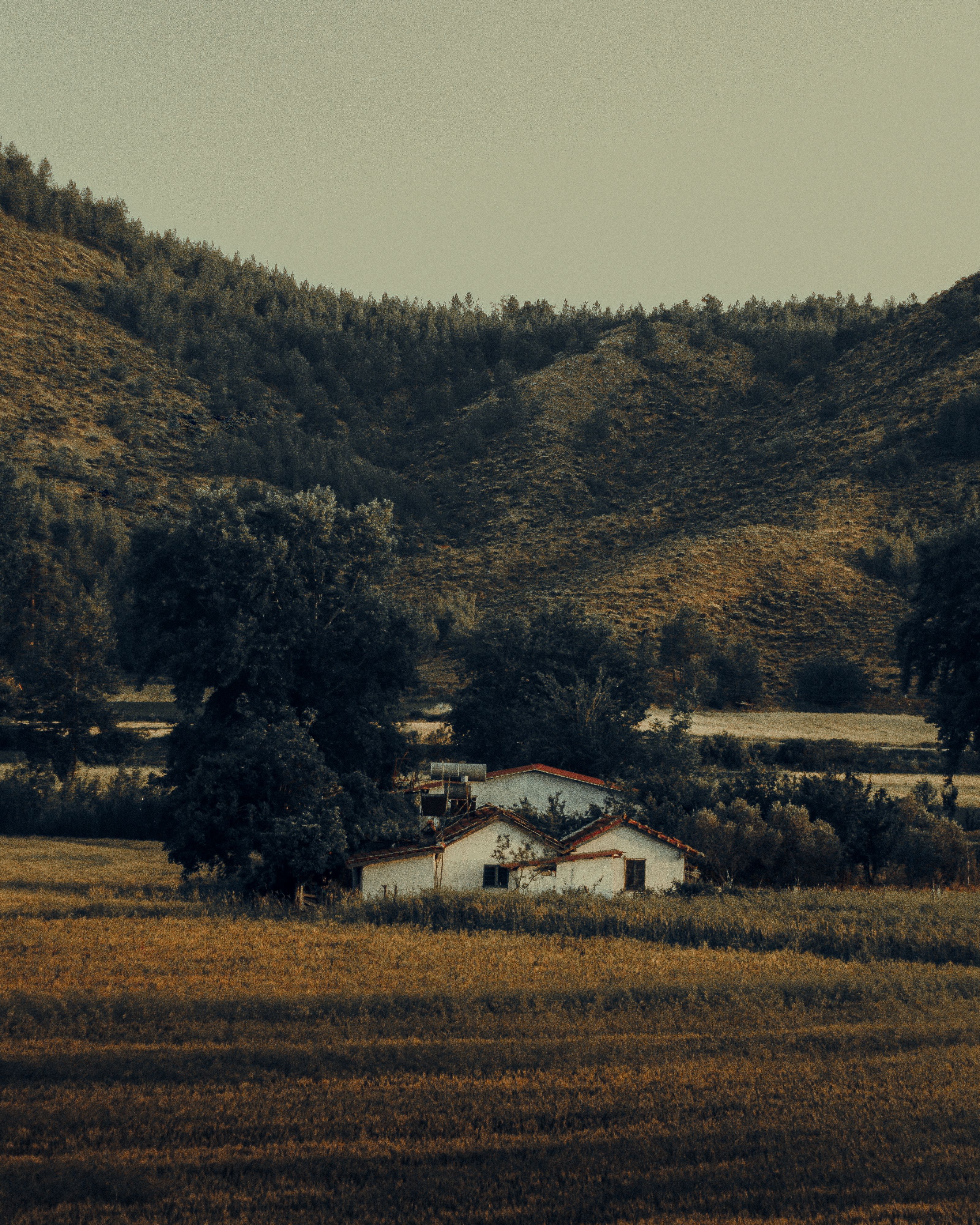 White House Near Green Trees and Mountain · Free Stock Photo