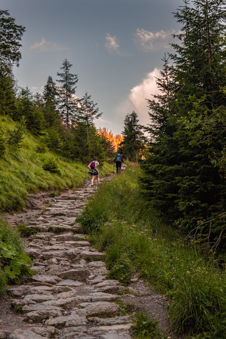 Hiking Trail In Mountains 