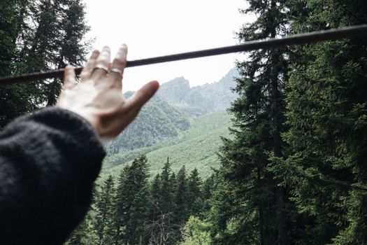 A hand adorned with rings reaches towards a lush mountain landscape framed by tall trees.