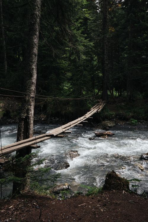 Free A rustic wooden bridge spans a rapid forest stream surrounded by lush greenery. Stock Photo