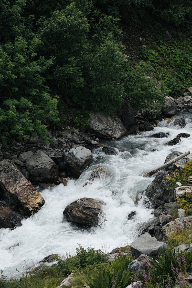 A River In The Middle Of A Forest