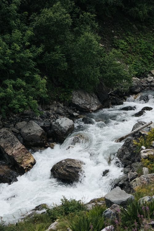 Free A serene stream flows through a forest, surrounded by lush trees and rocks, capturing nature's tranquility. Stock Photo