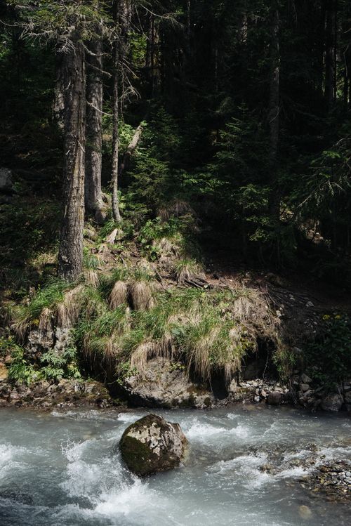 Free Calm river flowing through a lush forest with a prominent boulder. Perfect nature scene. Stock Photo