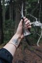 Free stock photo of adult, adventure, eco living