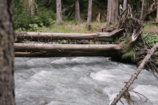 Tree Logs Lying Above River
