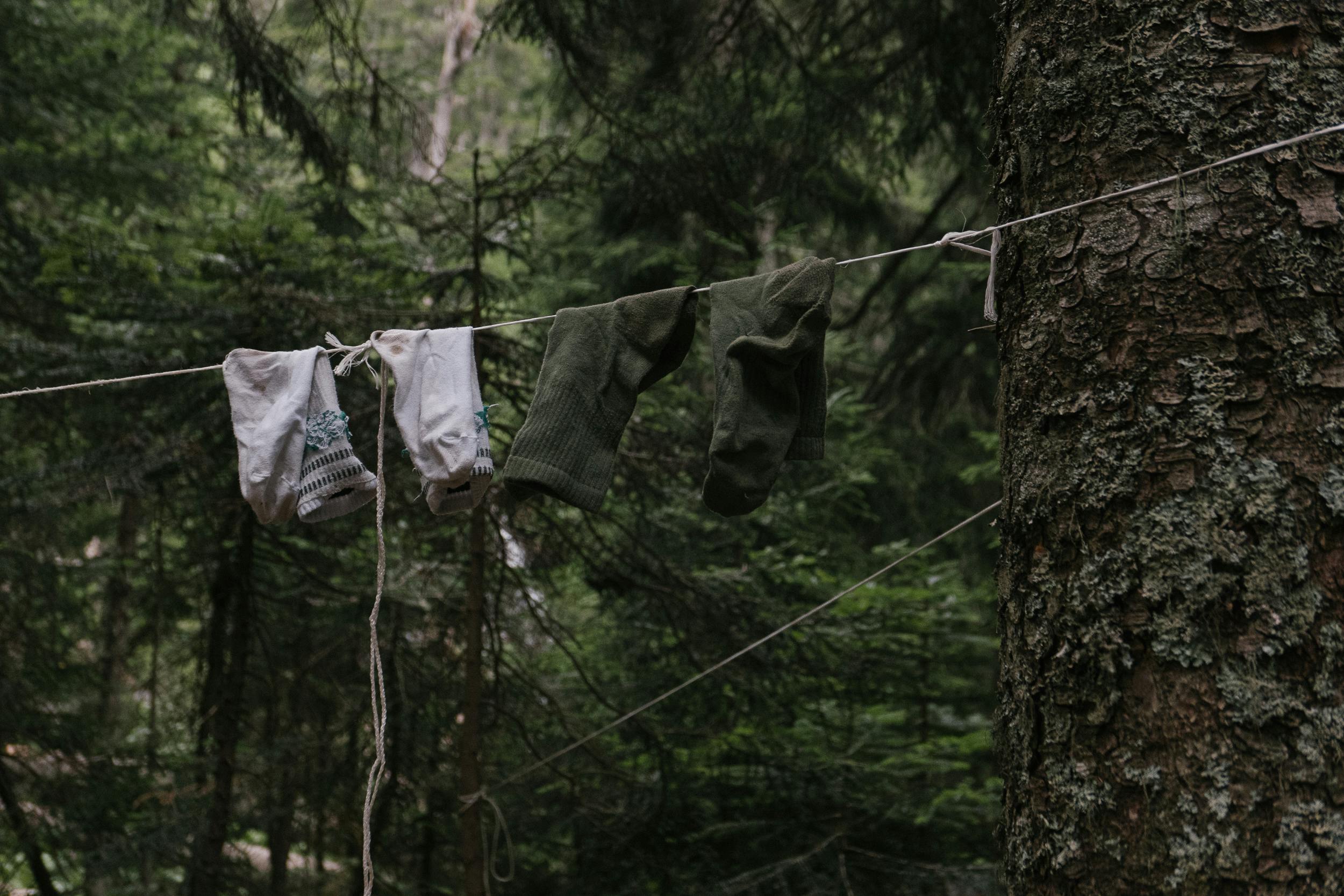 Beyond the Basics: Eco-Friendly Laundry Options