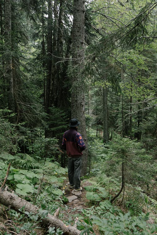 A Person With a Bucket Hat Standing in The Forest