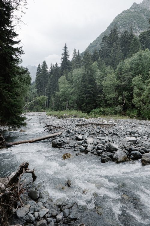 Free Peaceful stream flowing through lush green forest with rocky banks, perfect for nature enthusiasts. Stock Photo