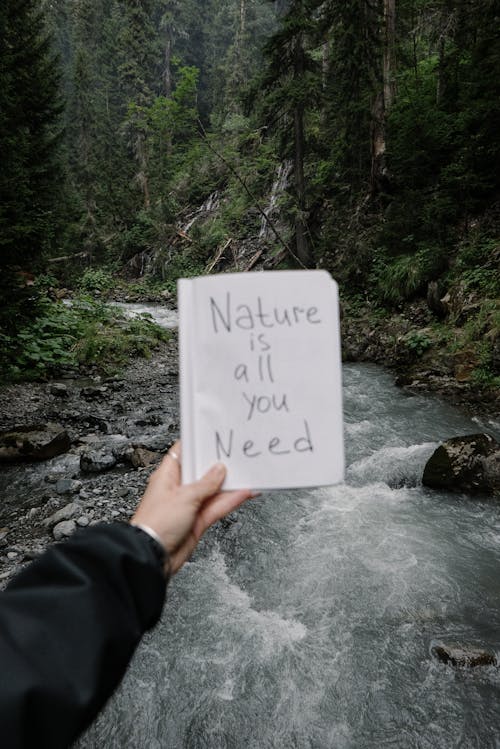 Nature is All You Need Written on Page in Hand by River in Woods