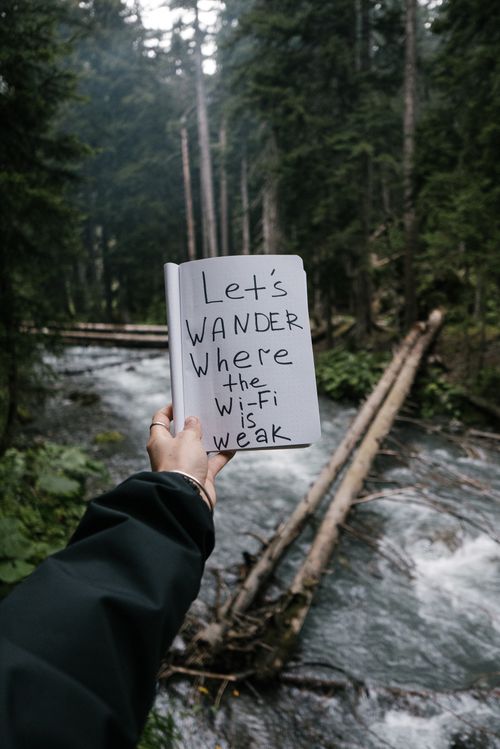 Free Inspirational quote about wandering and weak Wi-Fi in lush forest landscape. Stock Photo