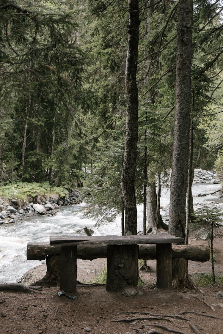 Brown Wooden Log Near The River