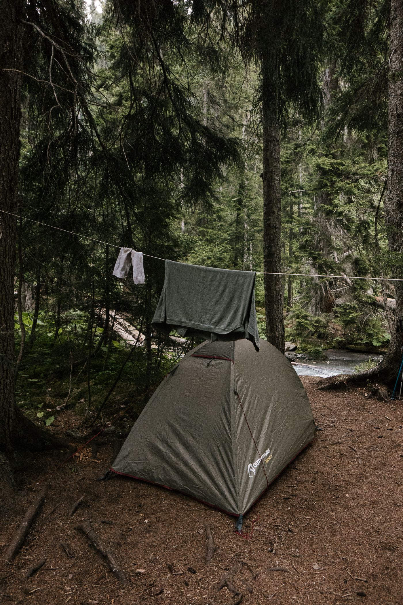 A quiet camping tent set among tall forest trees