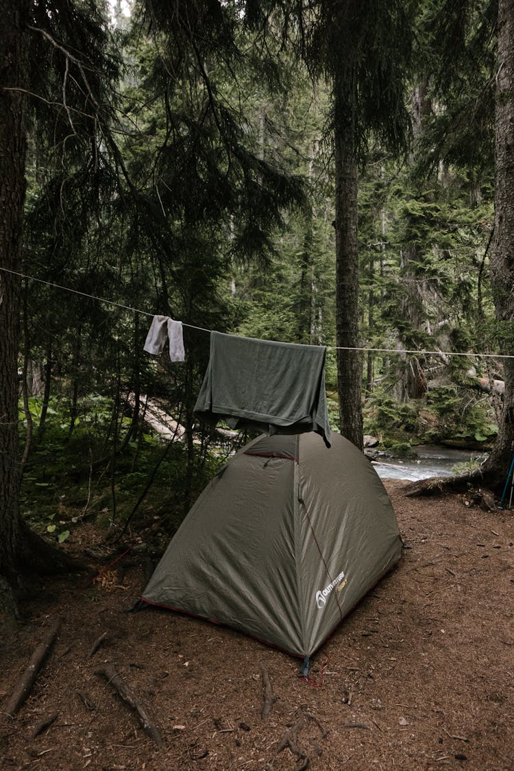 Camping Tent In Forest 