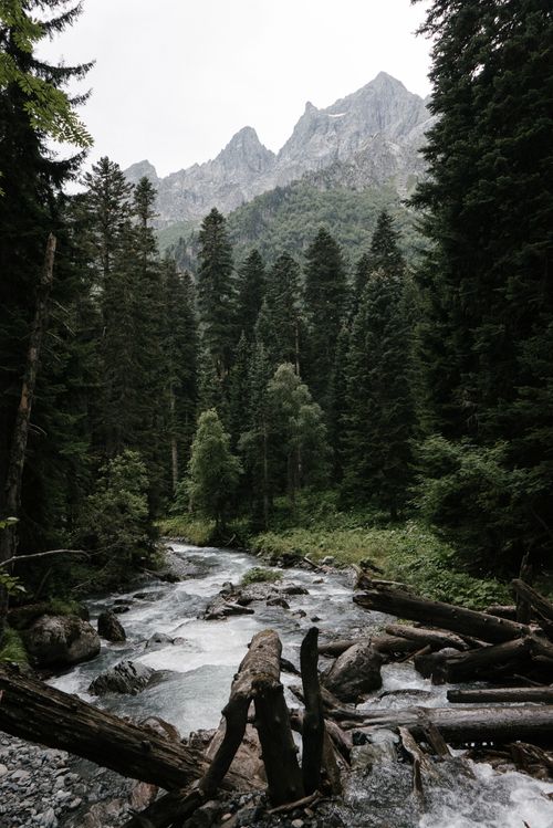 Free Explore the serene beauty of a lush forest with a flowing mountain stream. Stock Photo