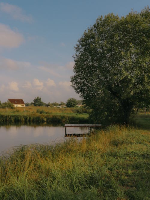 Gratis stockfoto met landelijk, meer, platteland