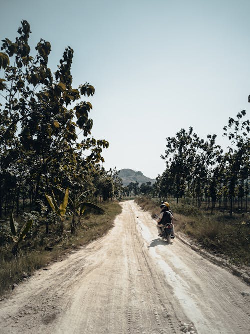 Photos gratuites de campagne, chemin de terre, gens