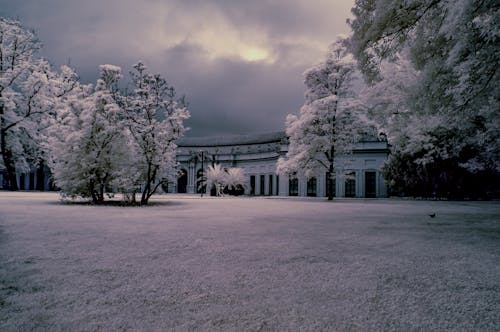 Základová fotografie zdarma na téma budova, mraky, rýma