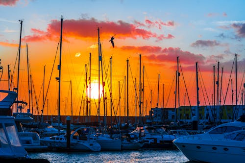 White Yachts on the Sea during Sunset