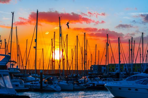 Free Beautiful sunset at Brighton Marina with silhouetted boats and vibrant sky. Stock Photo