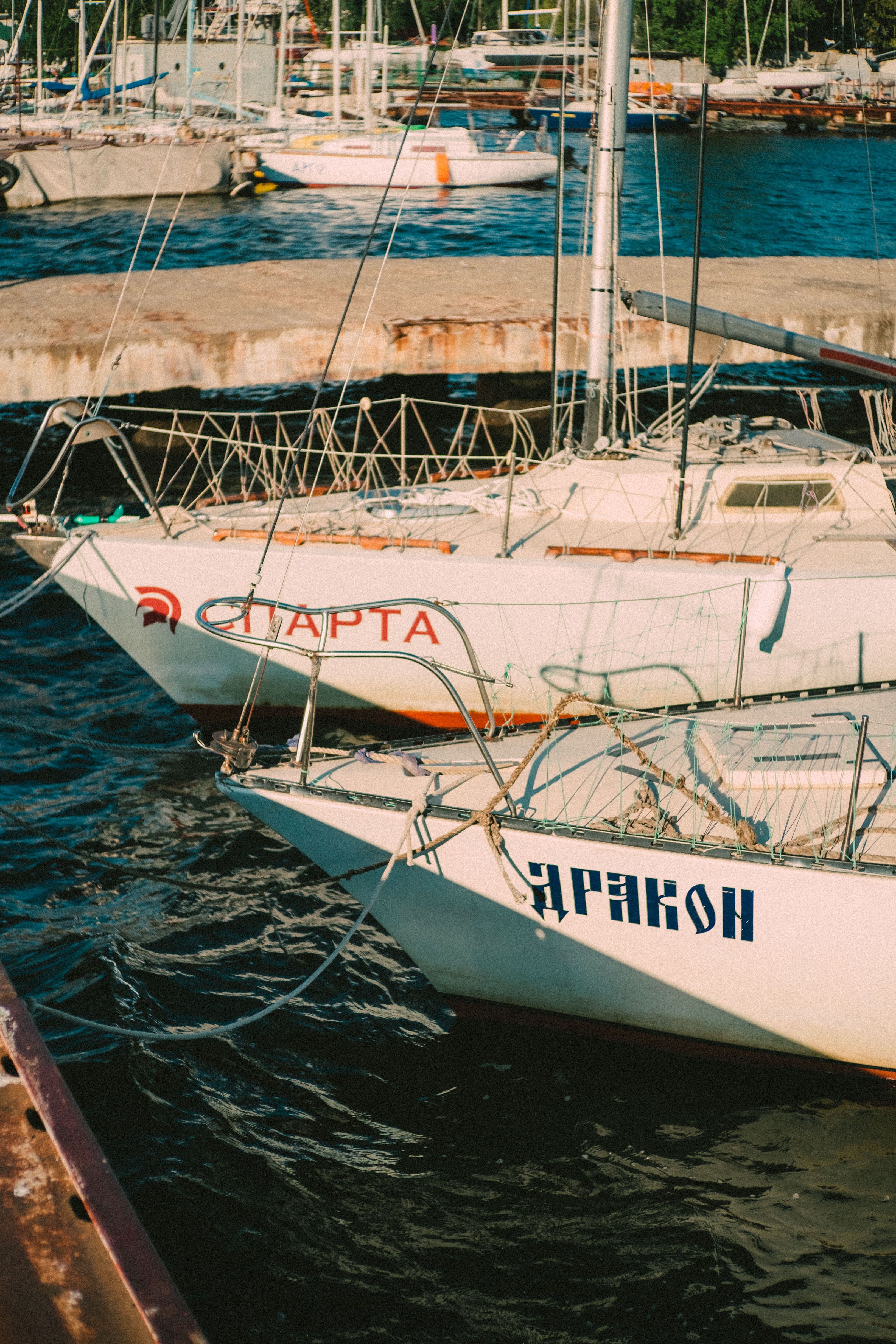 Sailboats moored at a marina, reflecting on the water on a sunny day.