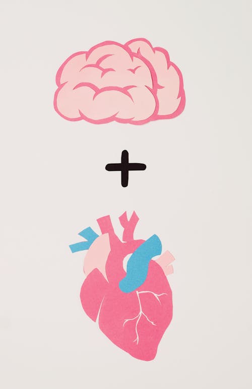 Free Paper Cutout of a Brain Plus Heart Stock Photo