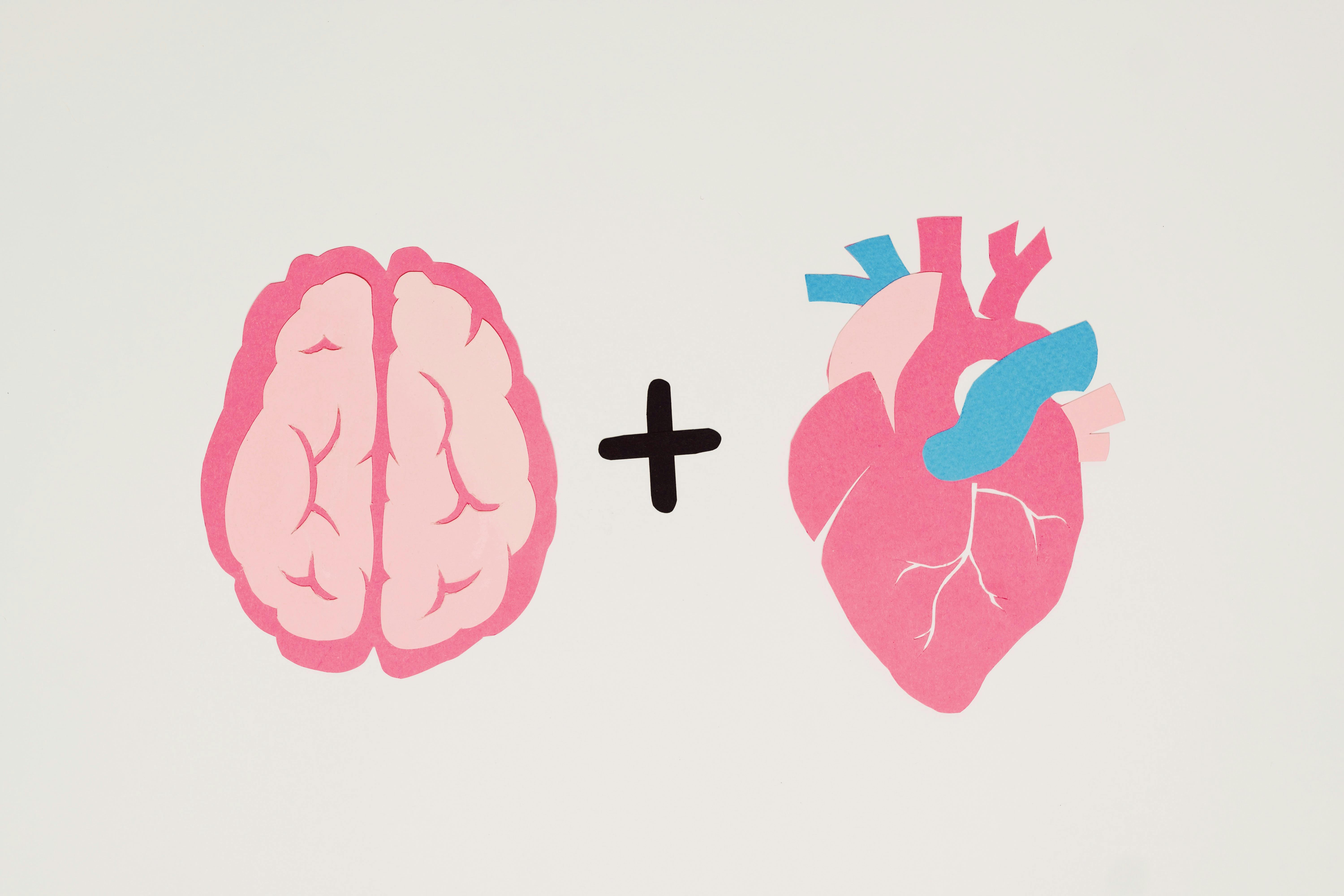 Simple illustration of a pink brain plus a red heart, representing the mind-body connection in love.