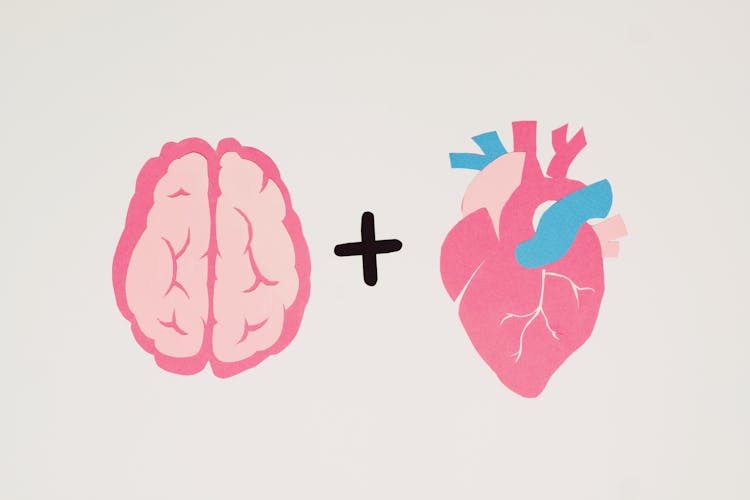 Brain And Heart Symbols On White Background